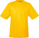 TT11 T-Shirt Performance homme