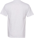 1301 gris cendre
