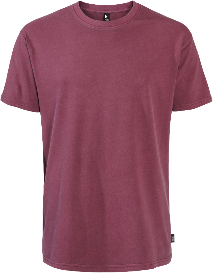 100386U T-shirt Ethica homme