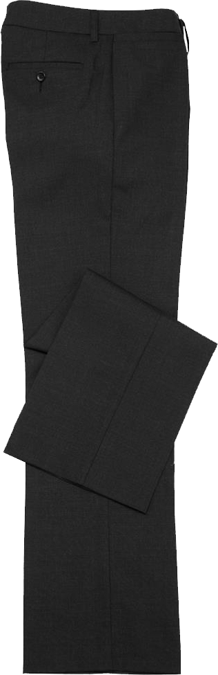 BS29320 Pantalon classique femme