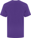 ATC1000 mauve équipe