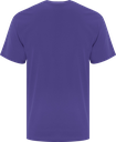 ATC1000 mauve