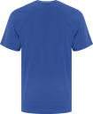 ATC1000 royal