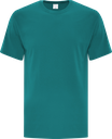 ATC1000 sarcelle