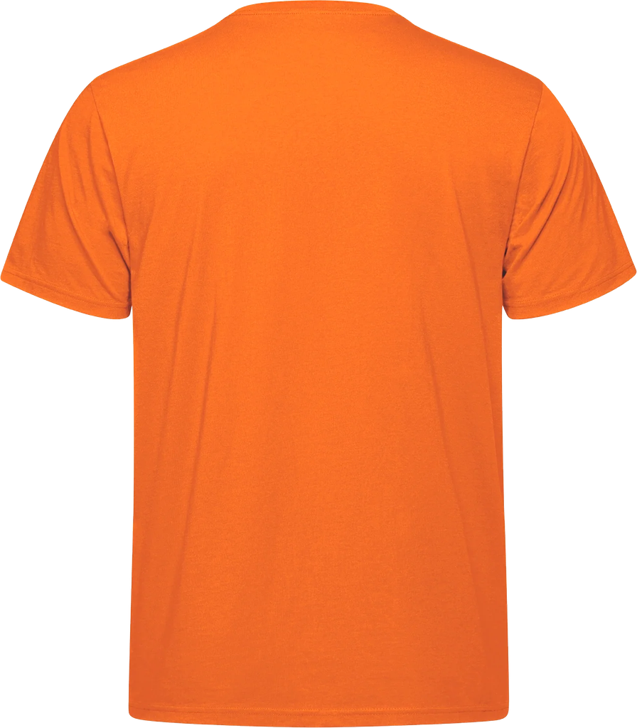 S05650 orange