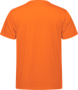 S05650 orange