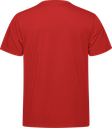S05650 rouge