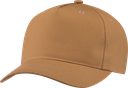 6F080M brun duck