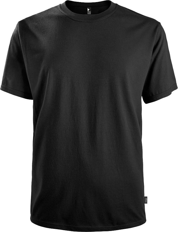 386 T-shirt Ethica homme
