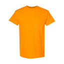 5000 - Orange tennessee