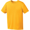 Y350 T-shirt  Pro Team junior