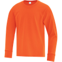 ATC1015Y Youth Cotton Long Sleeve Tee