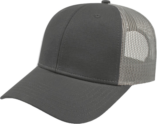 i3115 Low Profile Six Panel Structured Cap