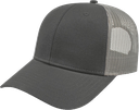 i3115 Low Profile Six Panel Structured Cap