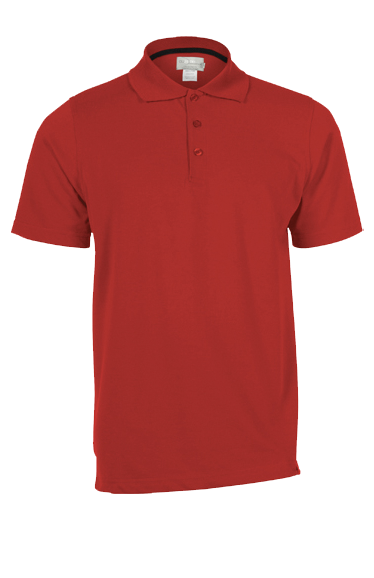 A7024M Polo piqué Davis homme