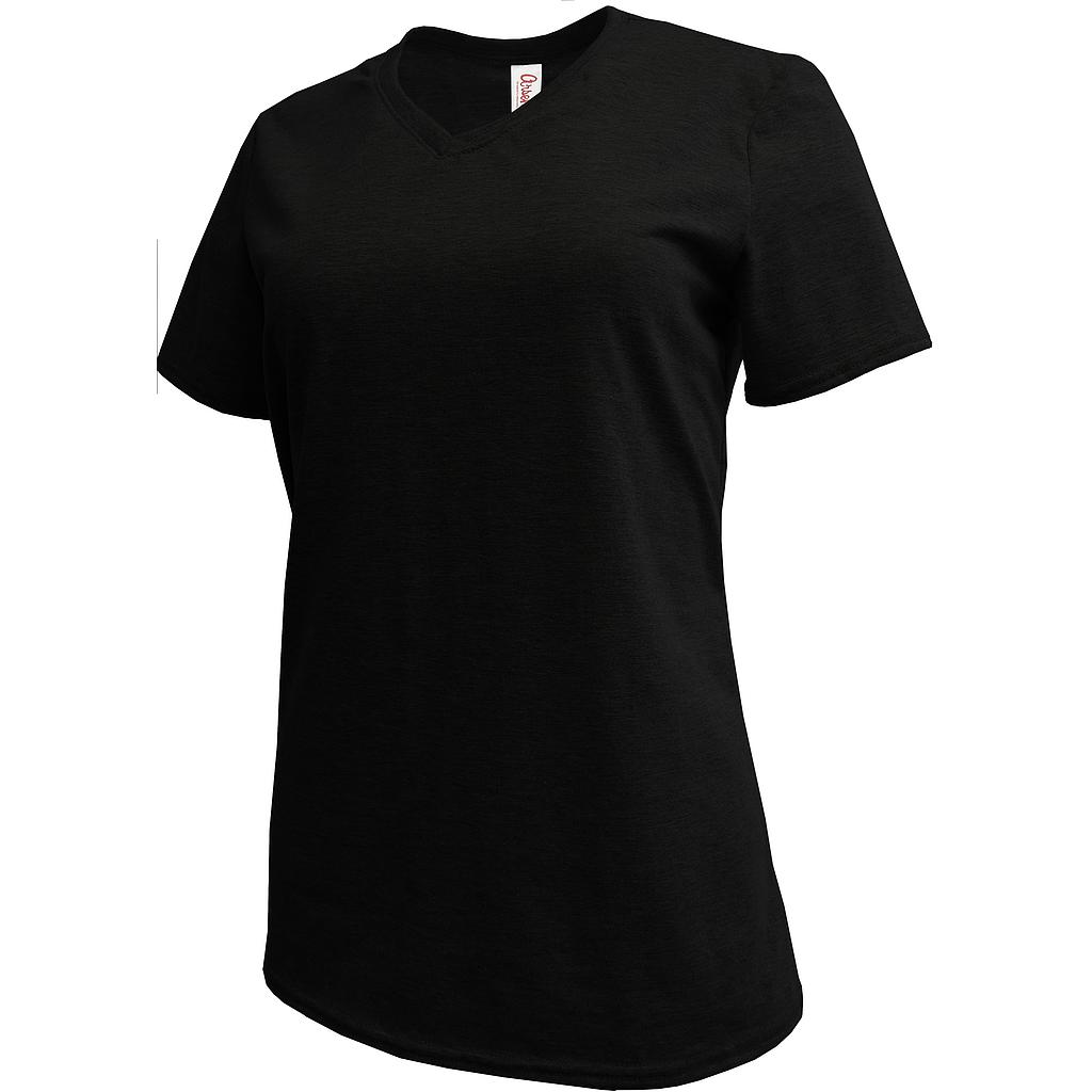 4319W Ladies V Neck T-shirt